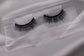 Aries Magnetic Lash